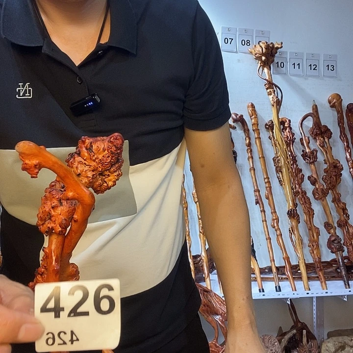 等***秀黑果木云南黑果木树榴摆件