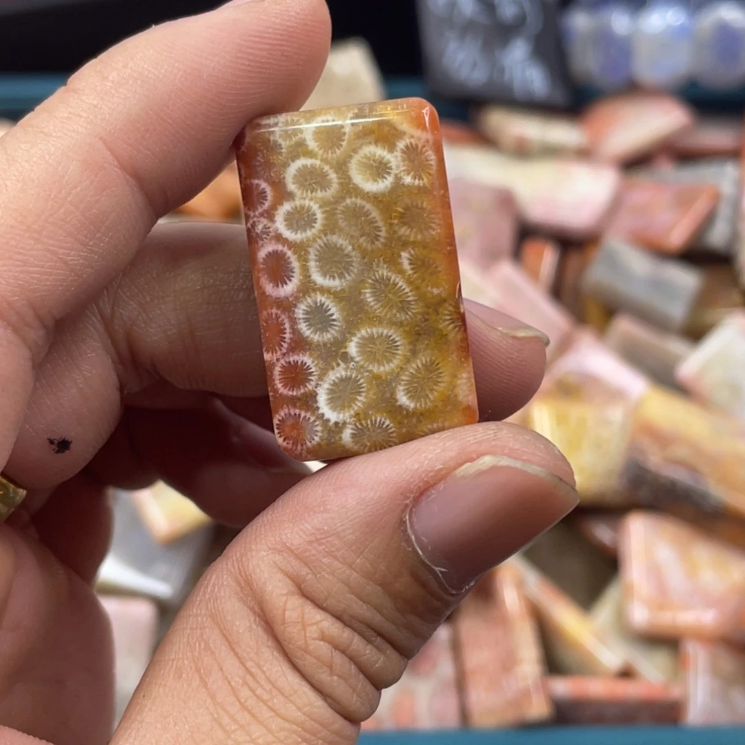 未镶嵌手镯硅化玉