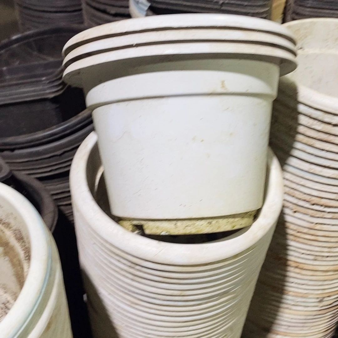 塑料旧16公分白圆盆20个