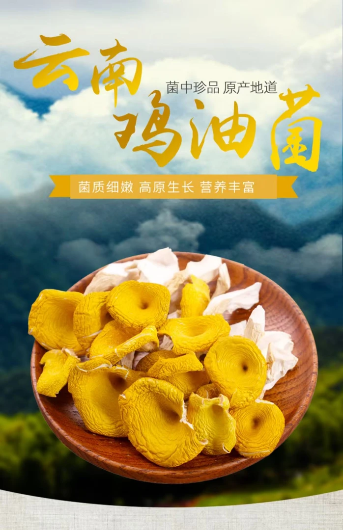 云南头茬鸡油菌干高山干货炖汤炒菜佳品