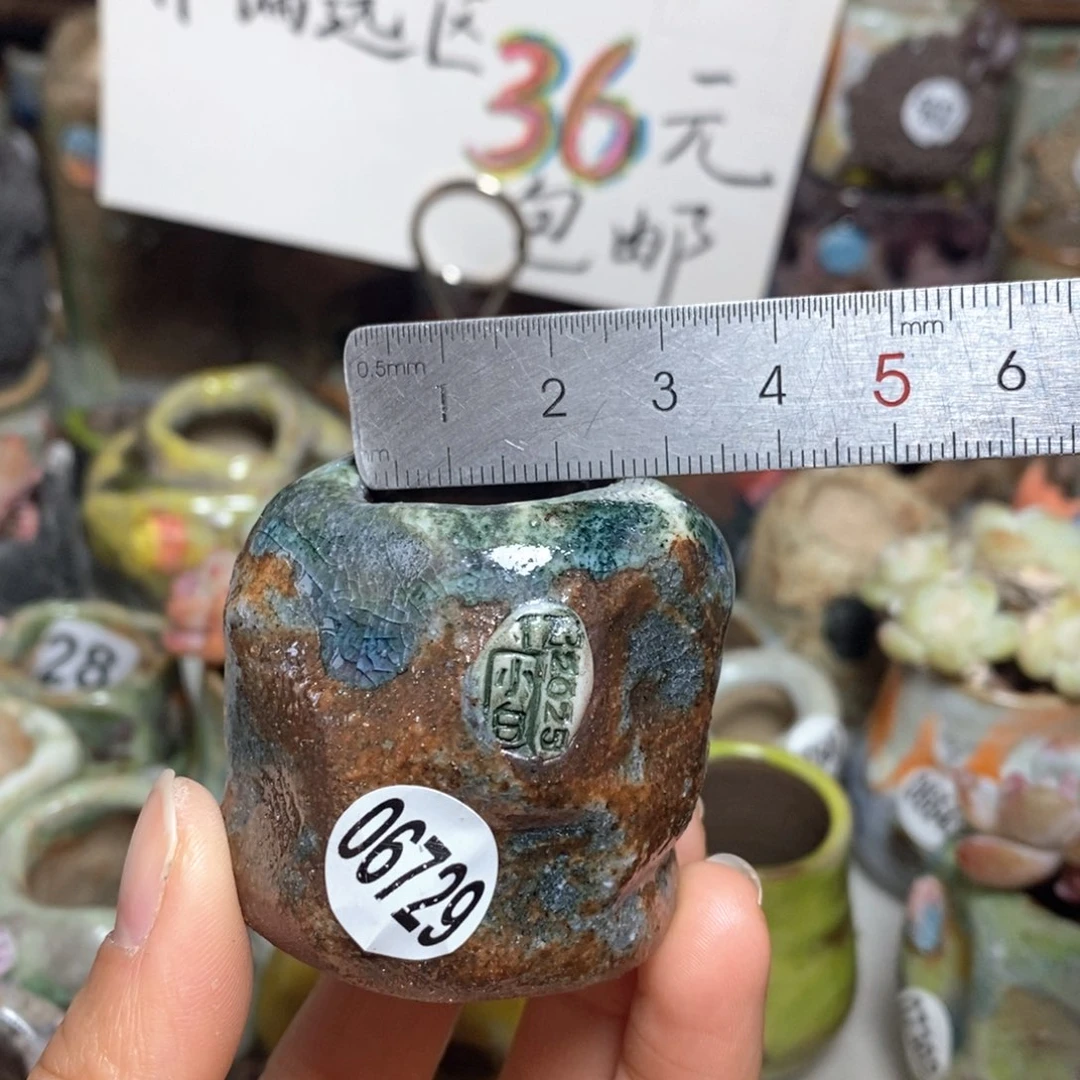 花盆拍3送一个小礼物
