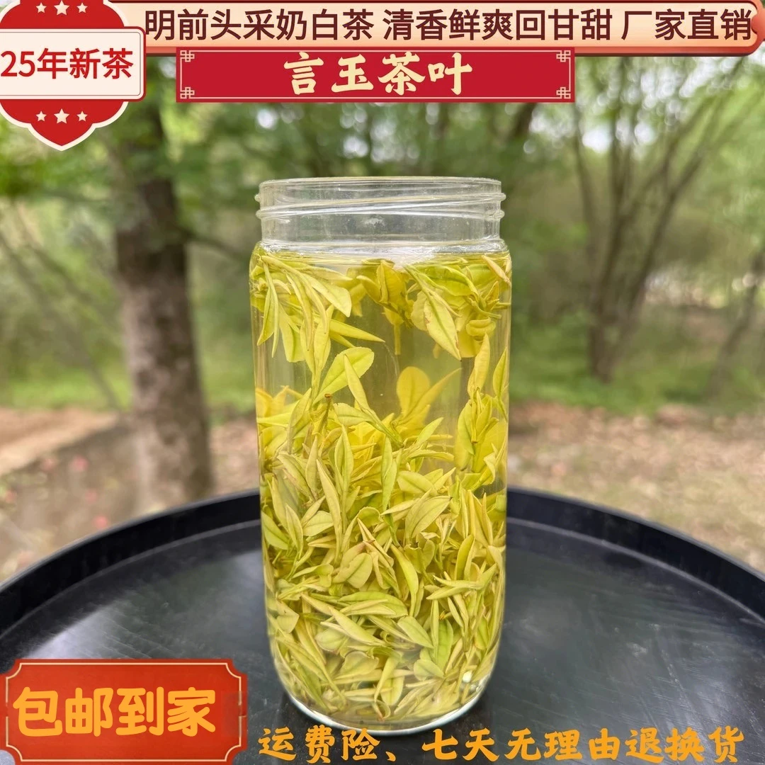 （N1）25年新茶明前头采奶白茶清香鲜爽回味甘甜兰花香绿茶礼盒送礼