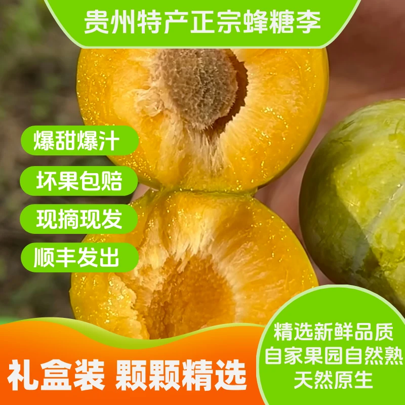 【供销合作社】正宗六马蜂糖李贵州果园现摘现发新鲜当季水果脆甜