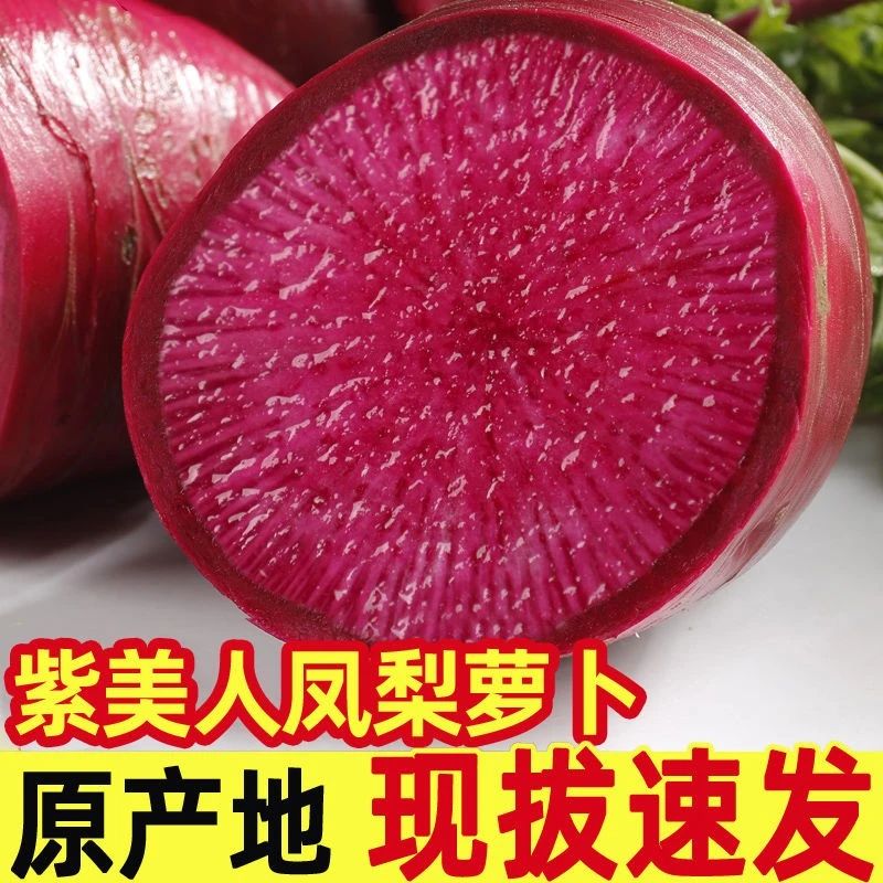 新鲜紫美人凤梨萝卜甜脆水果型红心