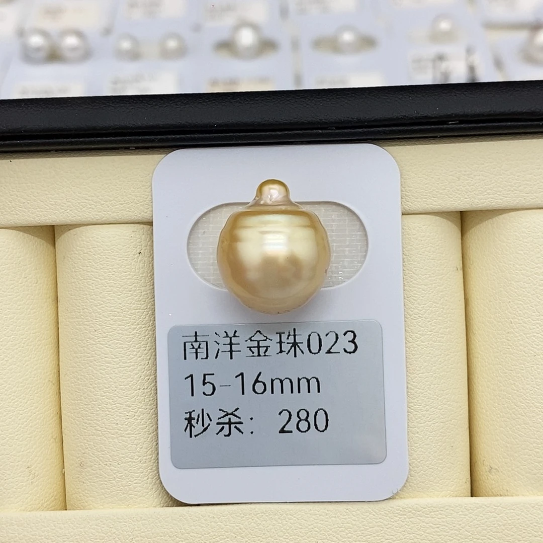 未镶嵌海水珍珠耳饰15-16金珠 无鉴赏