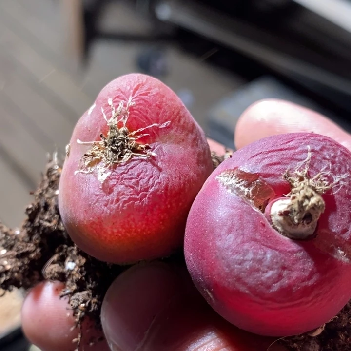 17232有伤一组一组