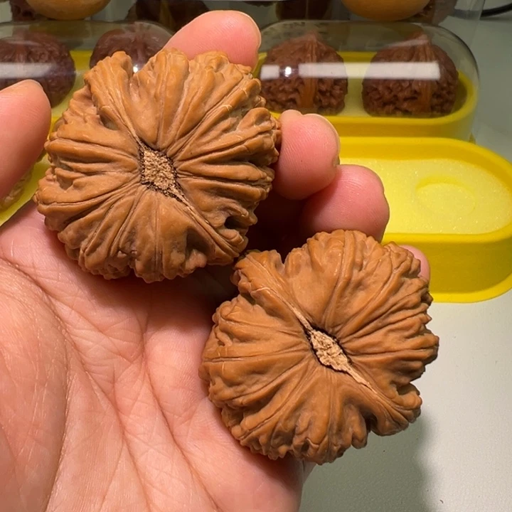 把件文玩核桃白狮子