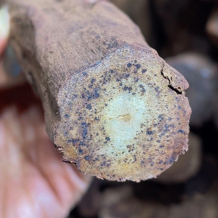 降真香定制缅甸小叶降真香