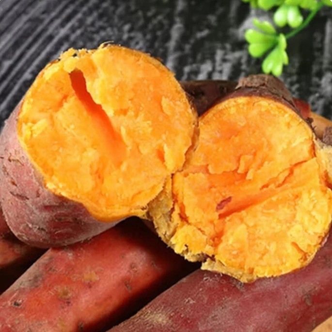 龙九红薯沙地红薯九号黄心红薯新品地瓜低糖代餐河南中小果