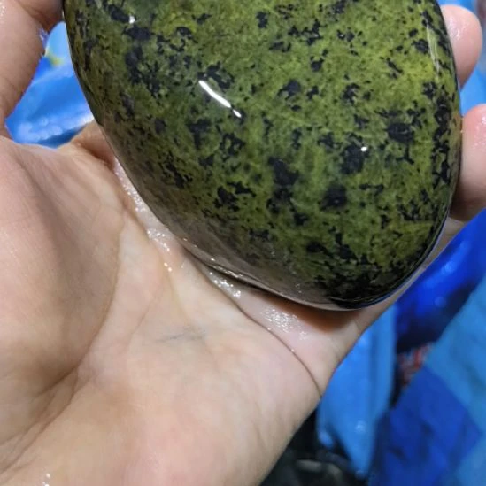 喜***玥木藏玉药王石原石一个