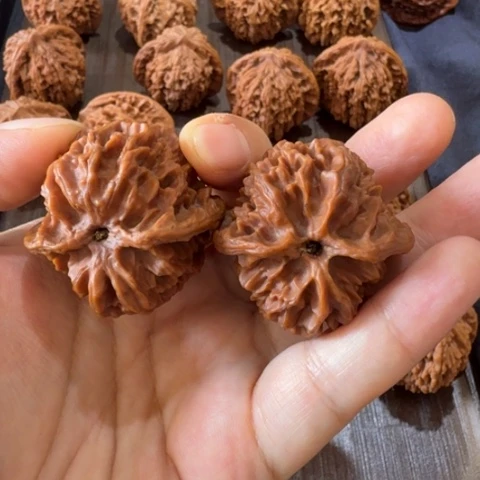 全品苹果园卡40全品无修