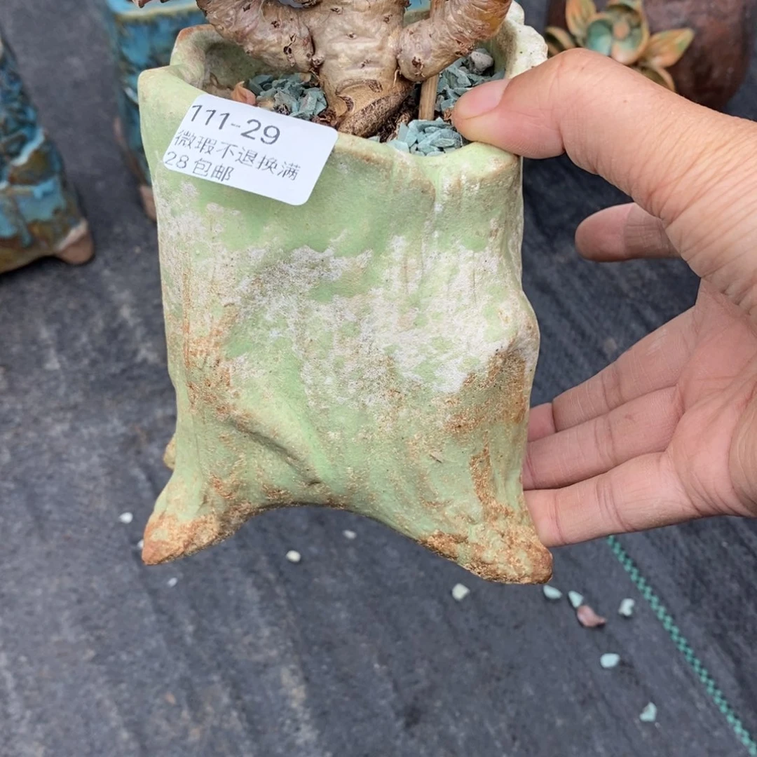 宁***莲29号多肉盆口径8高12