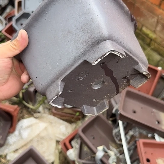 不是很清楚了我说不去