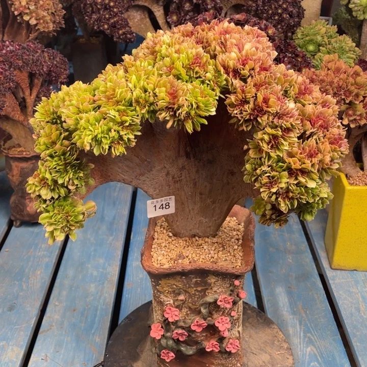 徐****包148柠檬玫瑰法师缀