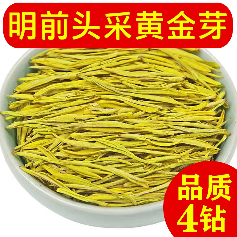 2025新茶黄金芽【4钻】头采明前春茶高山花香豆香鲜香爽口回甘
