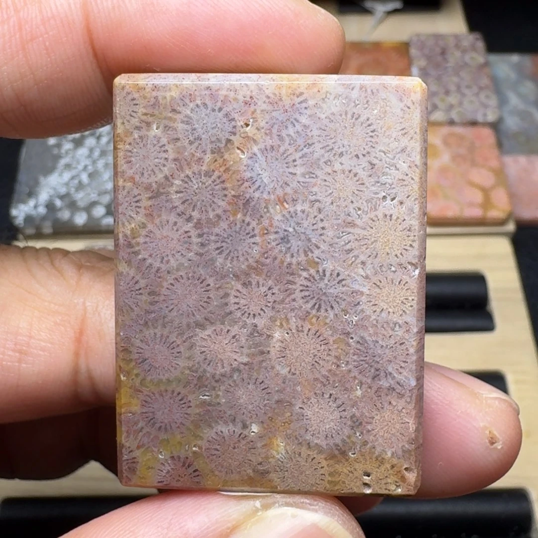 硅化玉未镶嵌纯天然色有机玉石保真色