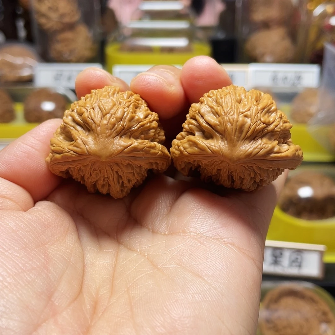 木质虎头蛇36全品598