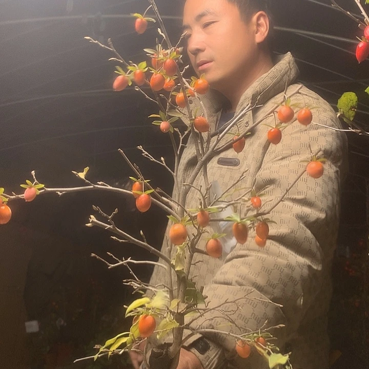 笑***生无花朵我们的目标