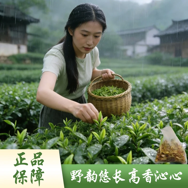 拍一发二-2-AJ-[1号嗏]野韵悠长 线