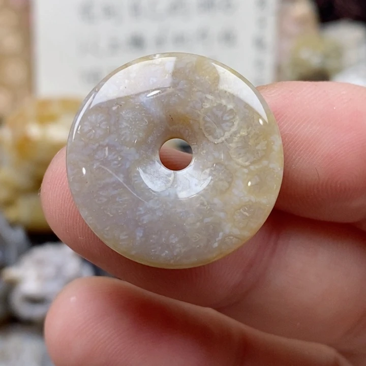 颈饰未镶嵌硅化珊瑚（珊瑚玉）小