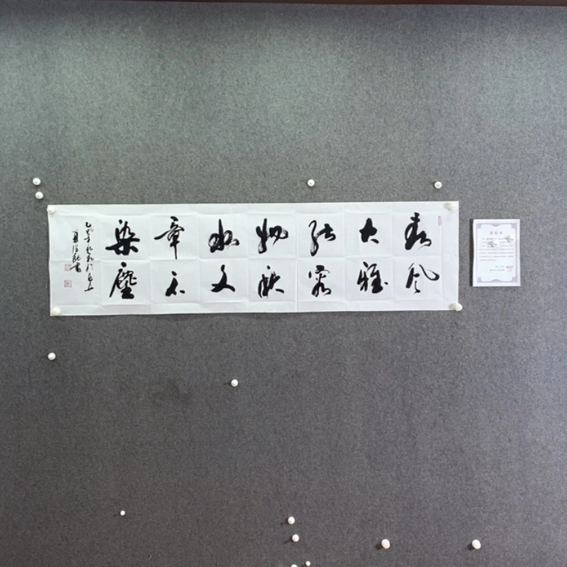 【闪购商品】书法书法作品欣赏，书法