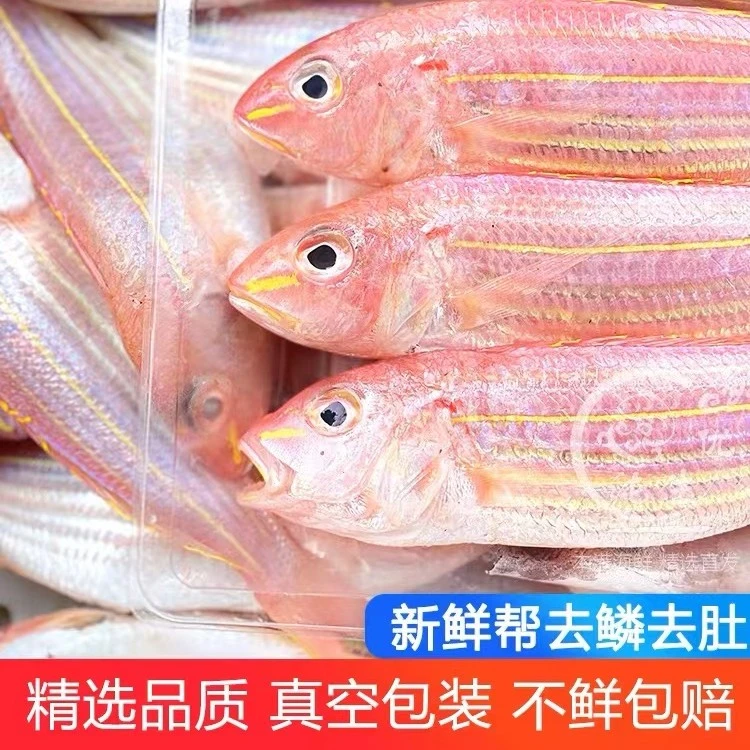 金线鱼阳江灯光船南海中大号正宗金丝鱼海鲜（4~5条/斤）