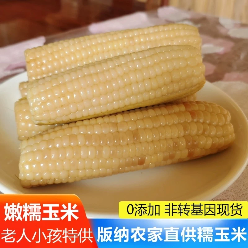 云南西双版纳白糯浅花糯淡花嫩玉米小玉米