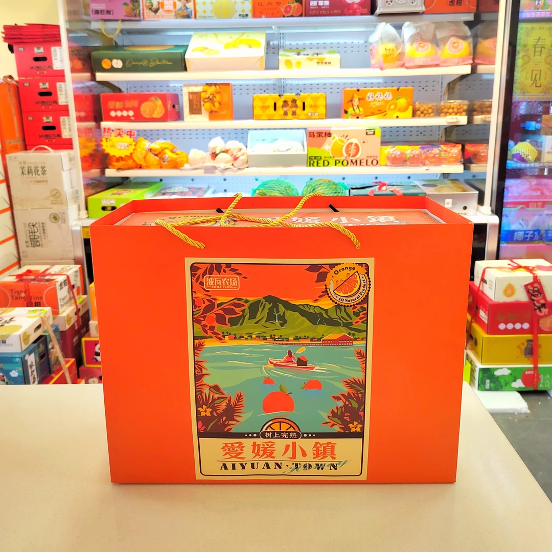 爱媛小镇果冻橙 毛重九斤左右