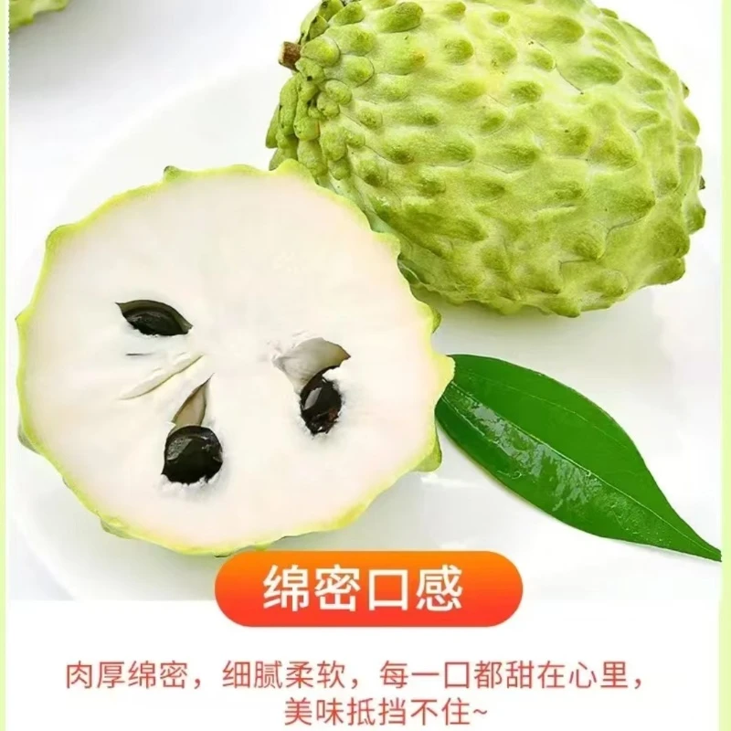果王特大【牛奶凤梨释迦果云南原产地发货】新鲜释迦果超甜果皮带花