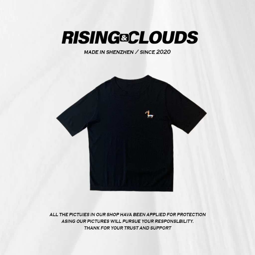 RISING&CLOUDS【小云姐】2025圆领亲肤百搭显瘦凉感短袖T恤040693