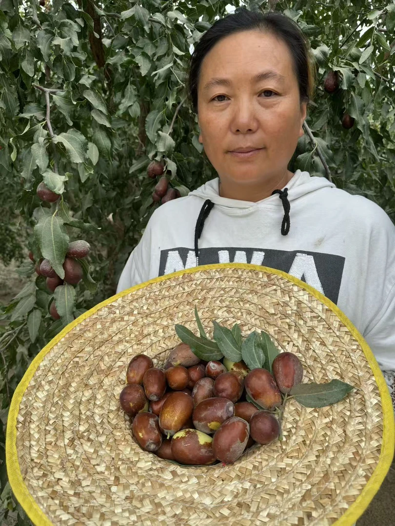 和田大枣鲜枣（蒸着吃软糯香甜）