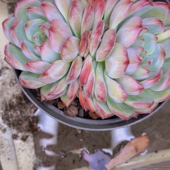 l***n878/////=///////////////