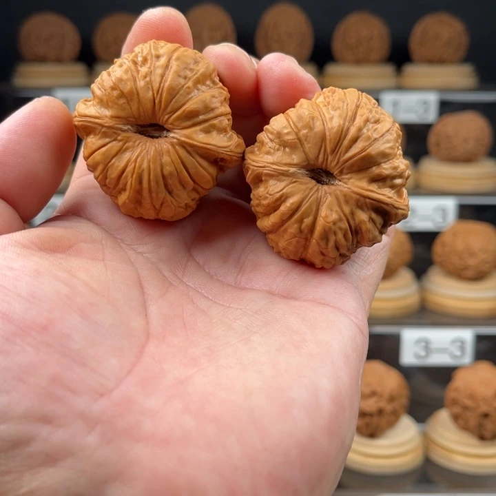 熬***阳文玩核桃吊坠南瓜墩