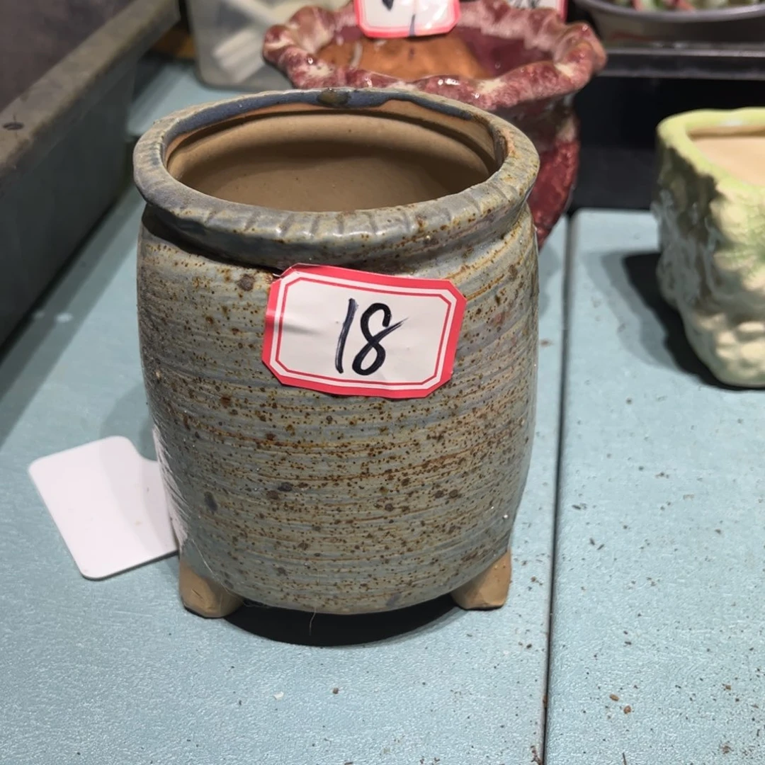 花盆一物一拍18号