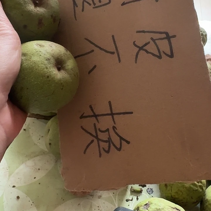 文玩核桃吊坠好*铁锤青皮