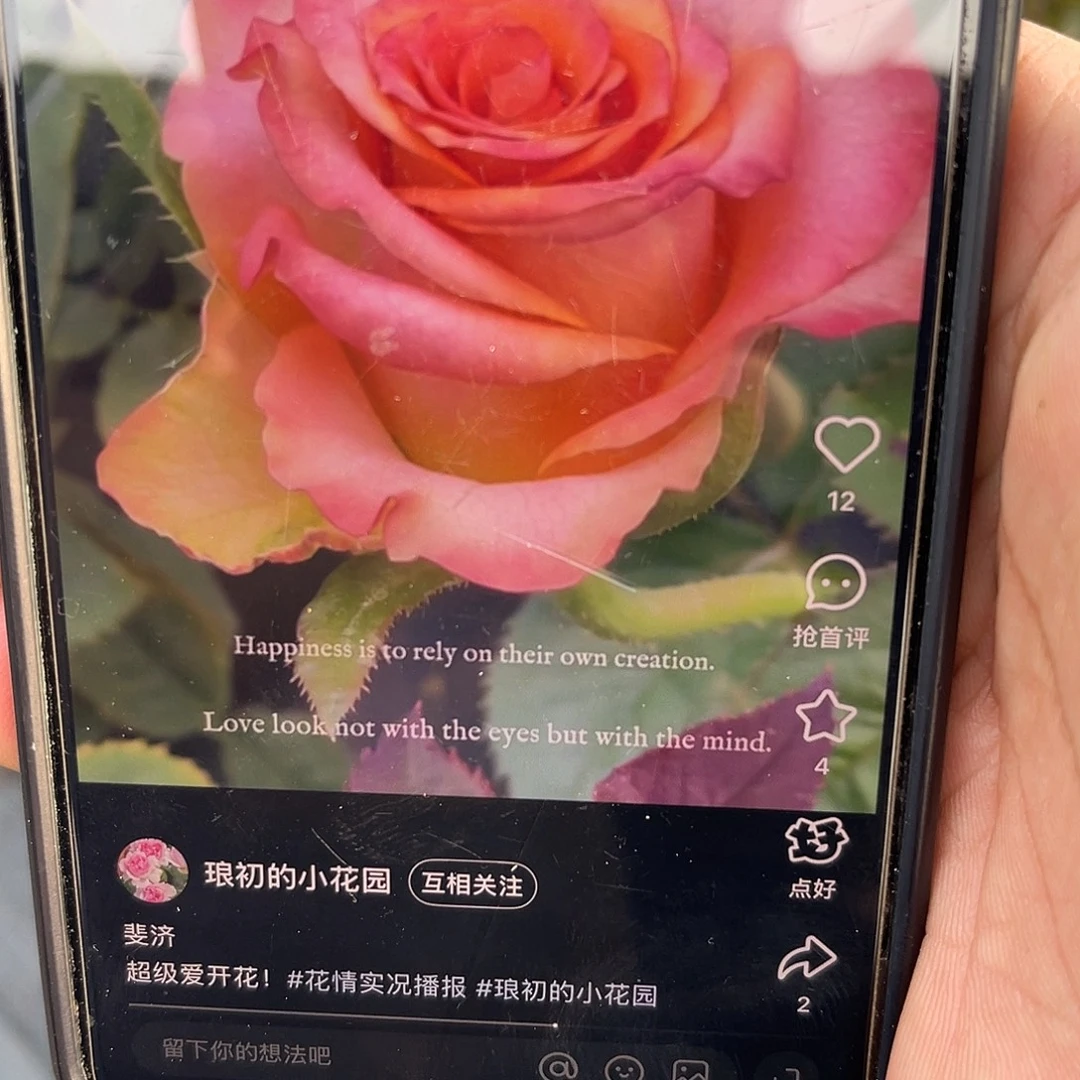 无花朵———- 斐济 福利款