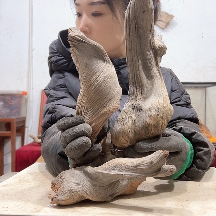 柏木燃**桥我们都是好孩子
