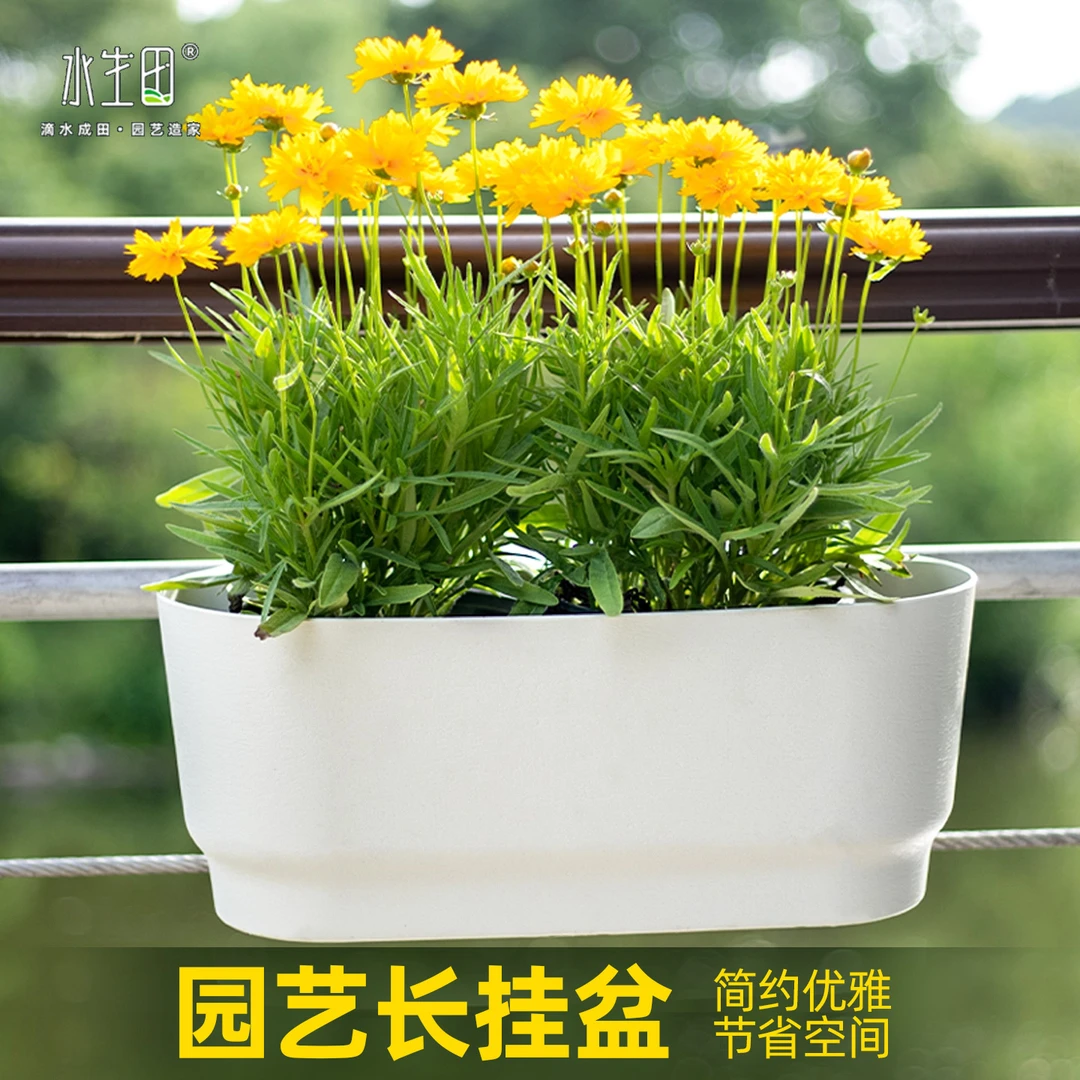 悬挂式长条盆阳台小花盆专用加厚塑料耐用树脂土培吸水盆透气透水