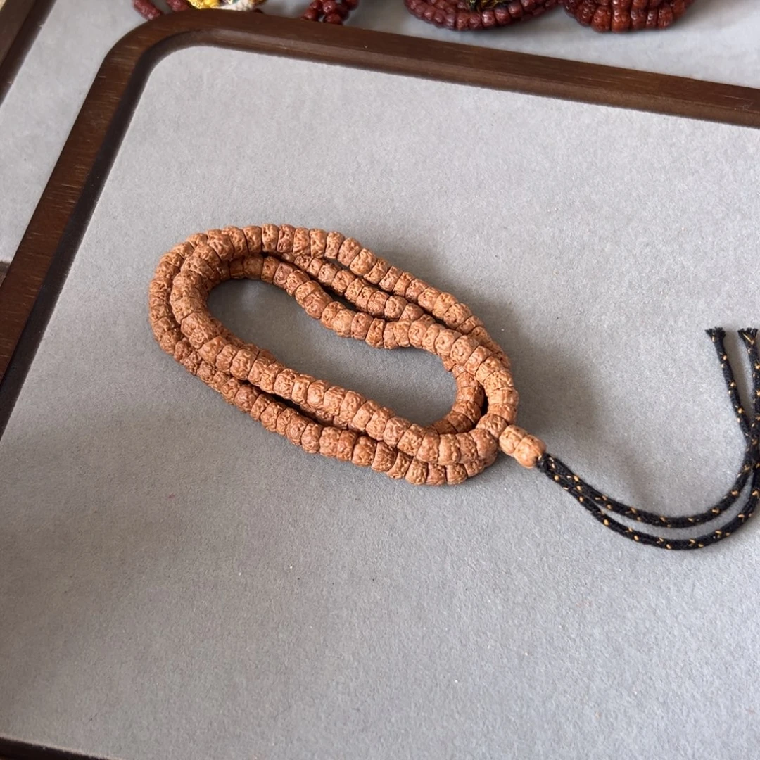 7.2佛手小金刚大肠