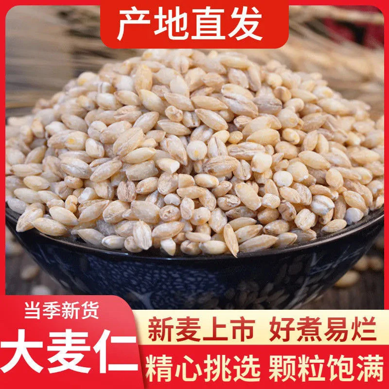 去皮麦仁大麦仁新粮去壳麦香味农家自种杂粮五谷粗粮