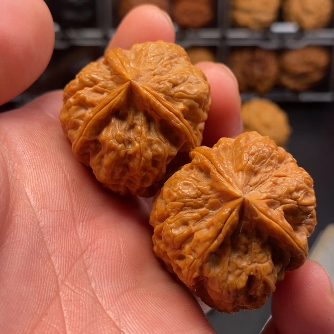 文玩核桃把件梅花三愣