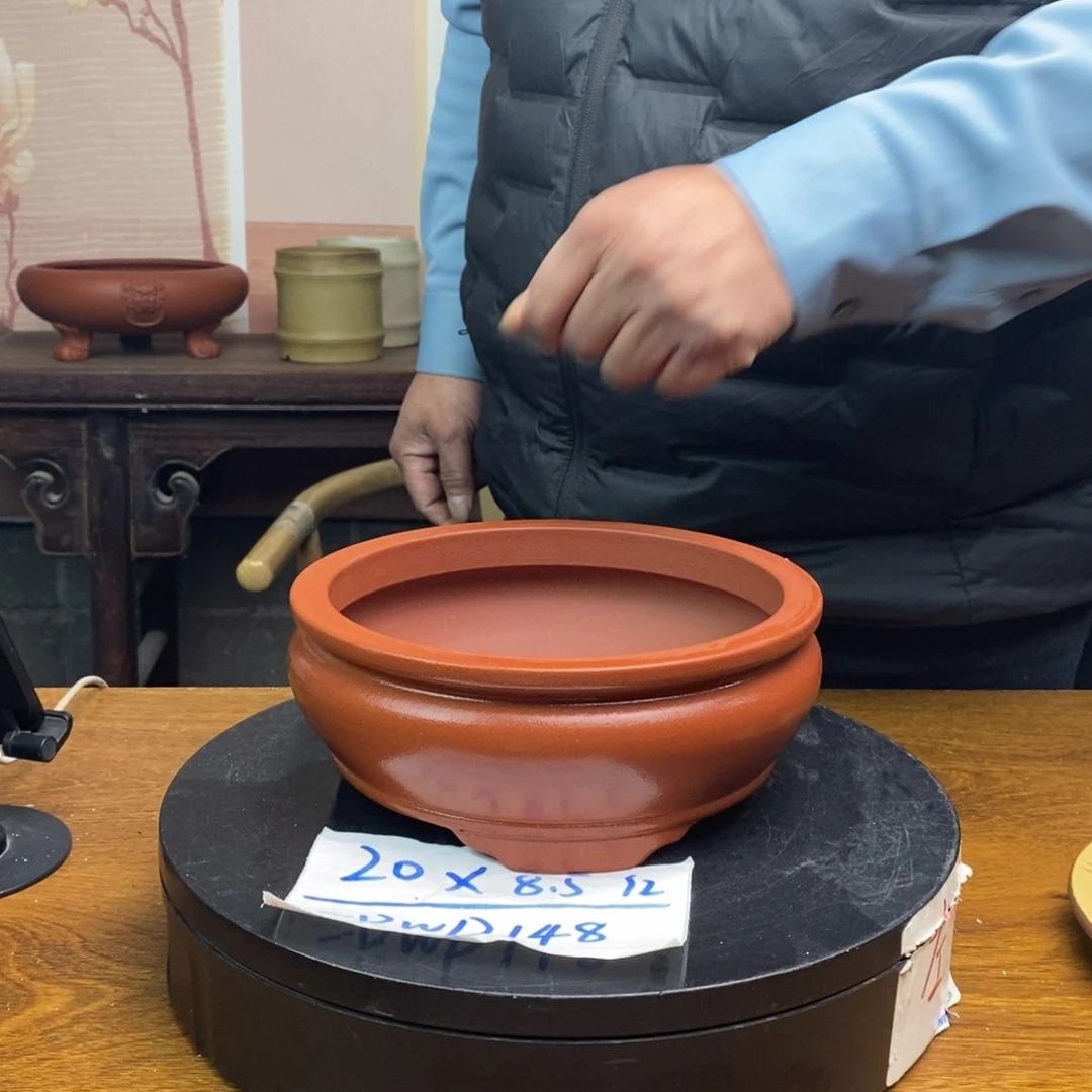 红陶货号一只WP148