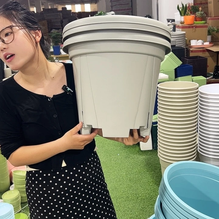 青山口40高34灰白色3个无托