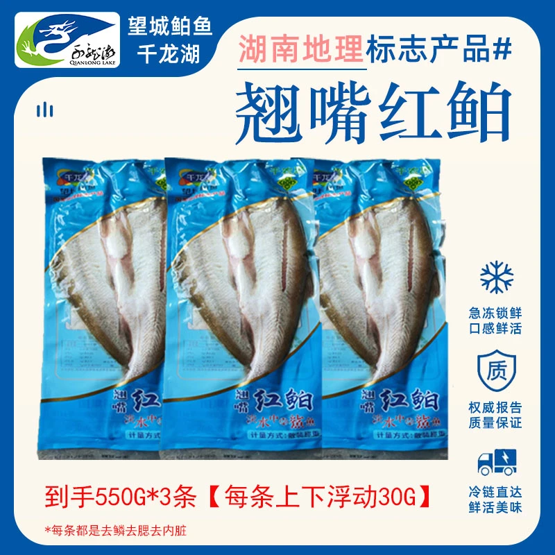 【蛙姐专属】正宗湖南特产千龙湖翘嘴红鲌肉质鲜嫩翘嘴鱼顺丰年货