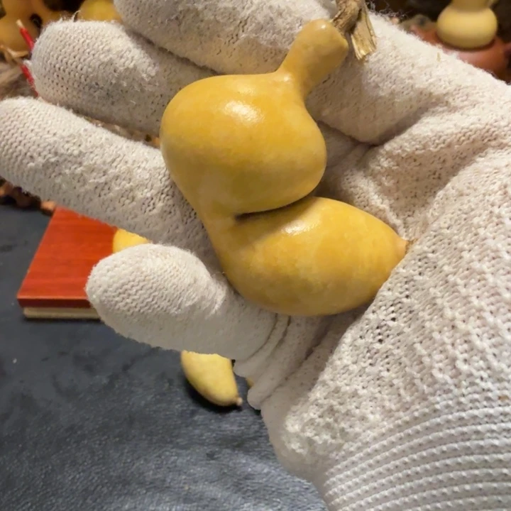 ～****6…………………………………………