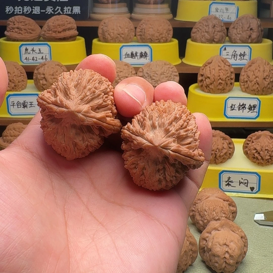 把件文玩核桃大蒜头全品39*40*48老树无药红皮54.3克