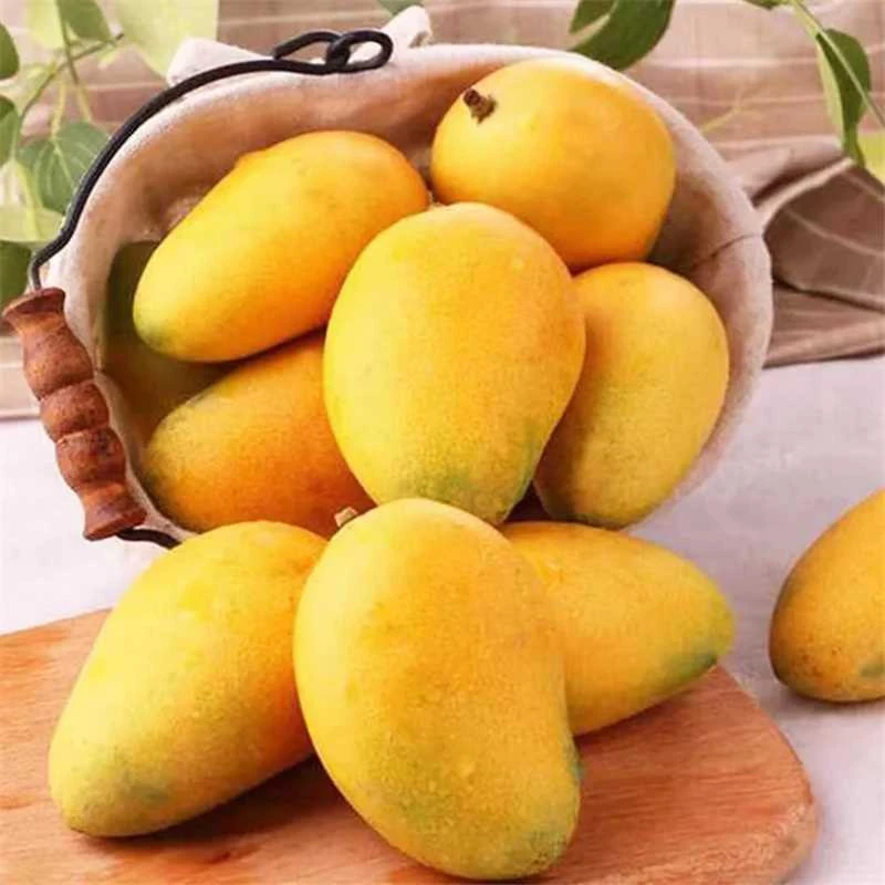 【全黄食用爆甜】海南正宗小台农芒果应季新鲜热带水果芒果整箱DW