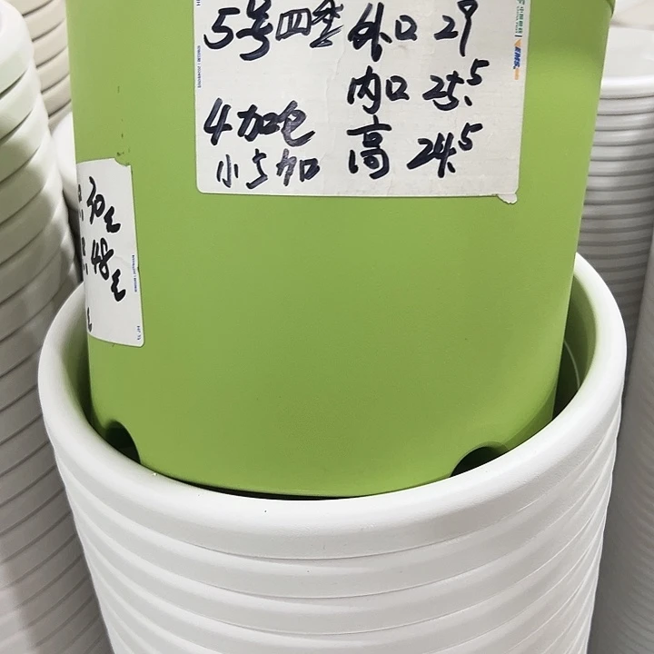特价5号四季口29高24.5白色无托6只