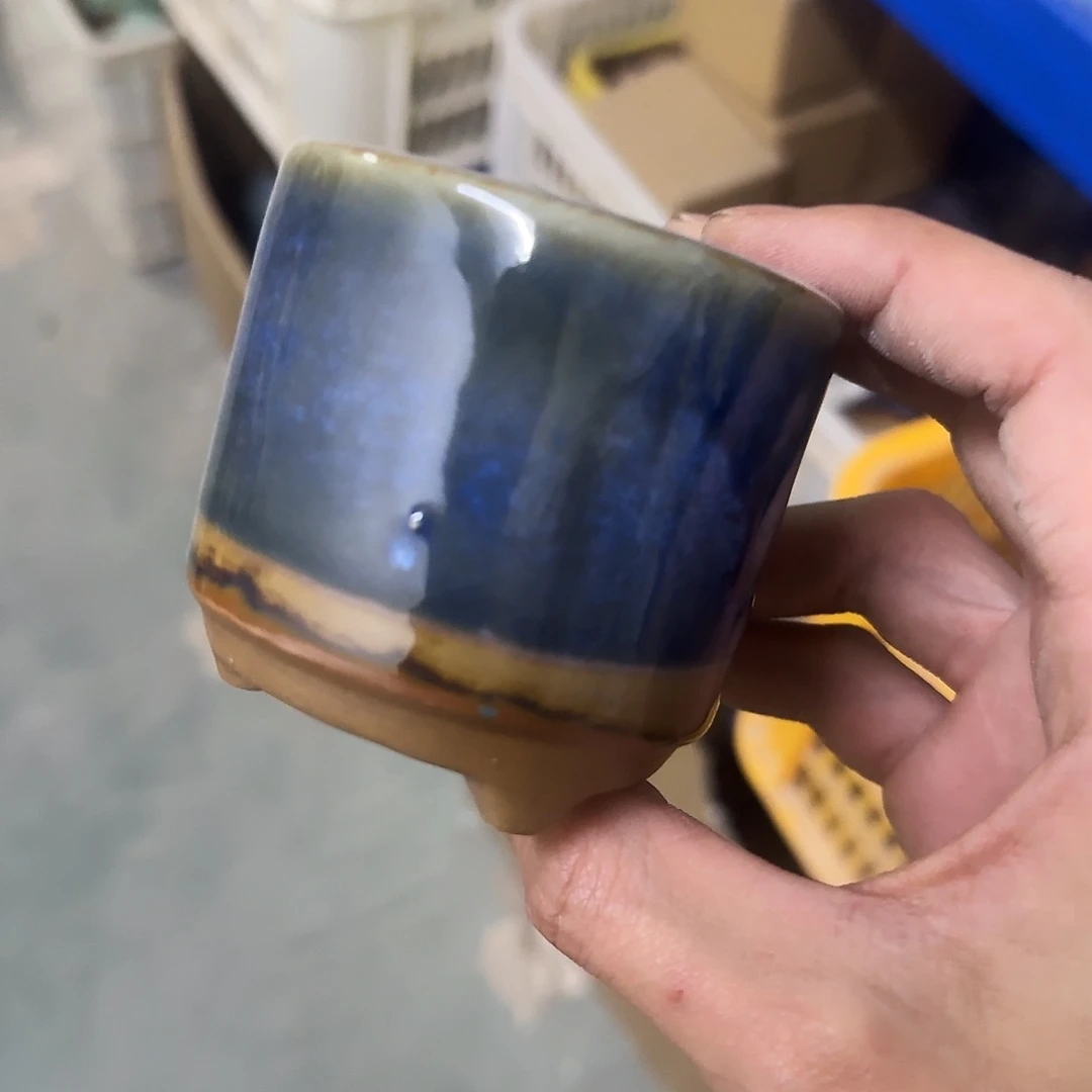 特价盆·天姿添香·福利局·凑9元发·1071