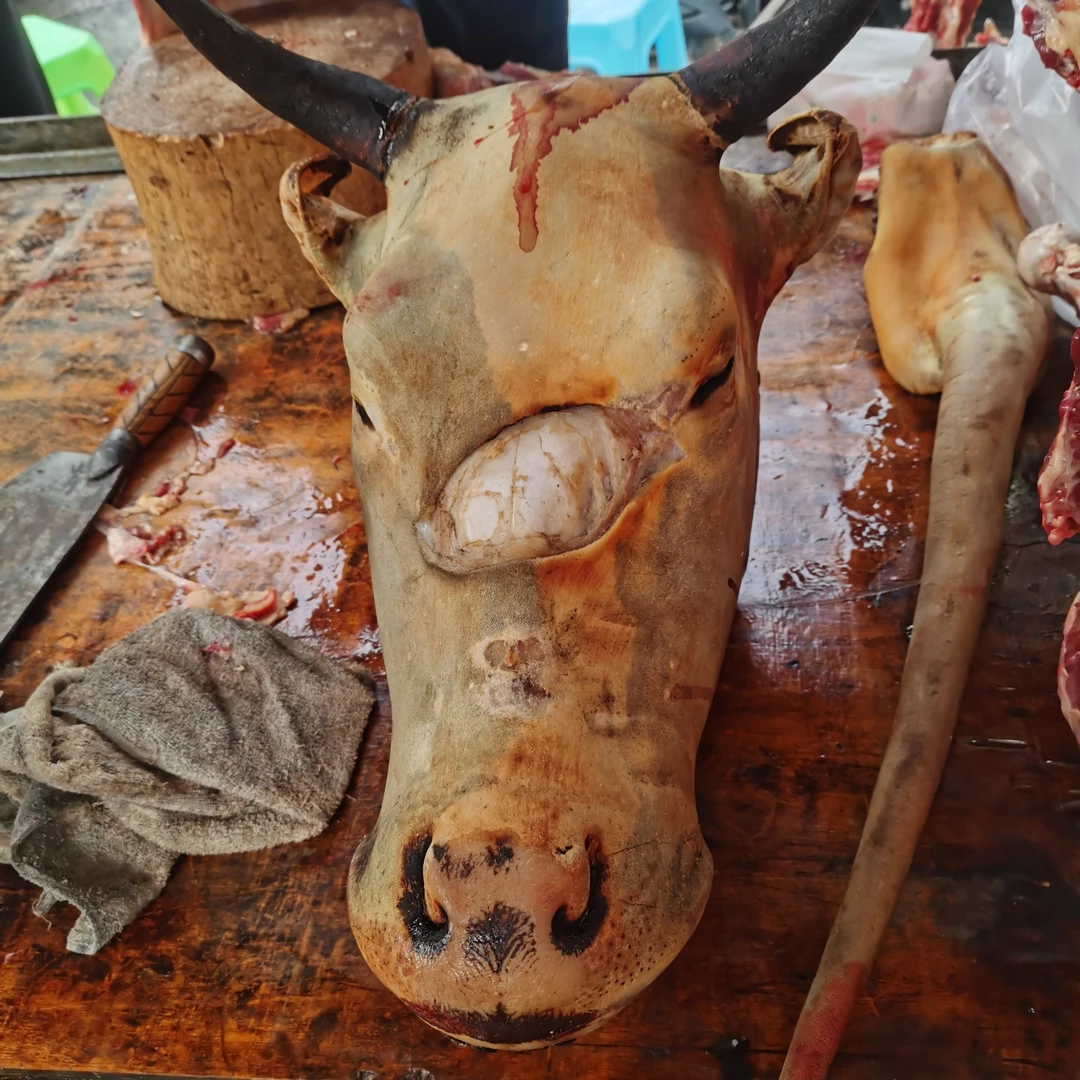 新鲜牛头带舌头当日宰杀一整个